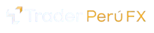 Dolares Trader Logo